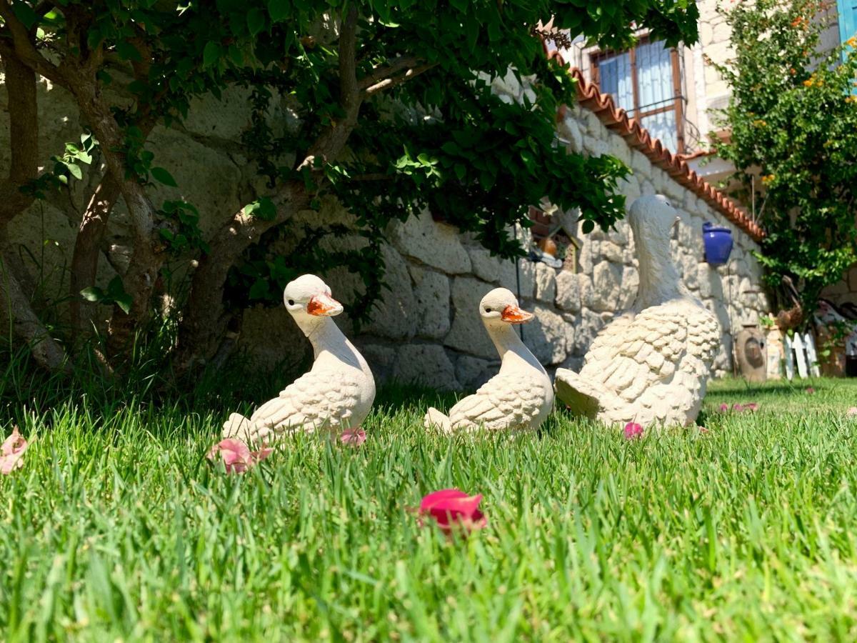 Windmill Alaçatı Ngoại thất bức ảnh